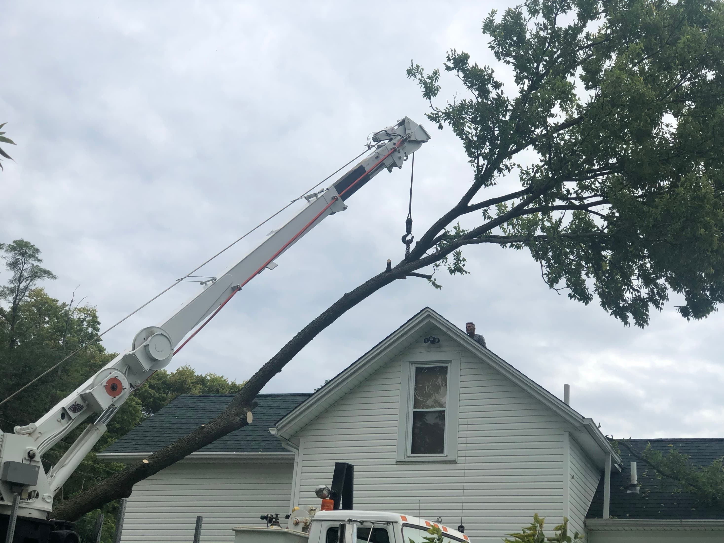 Family Tree Service lowering a large limb clear of a house roof
