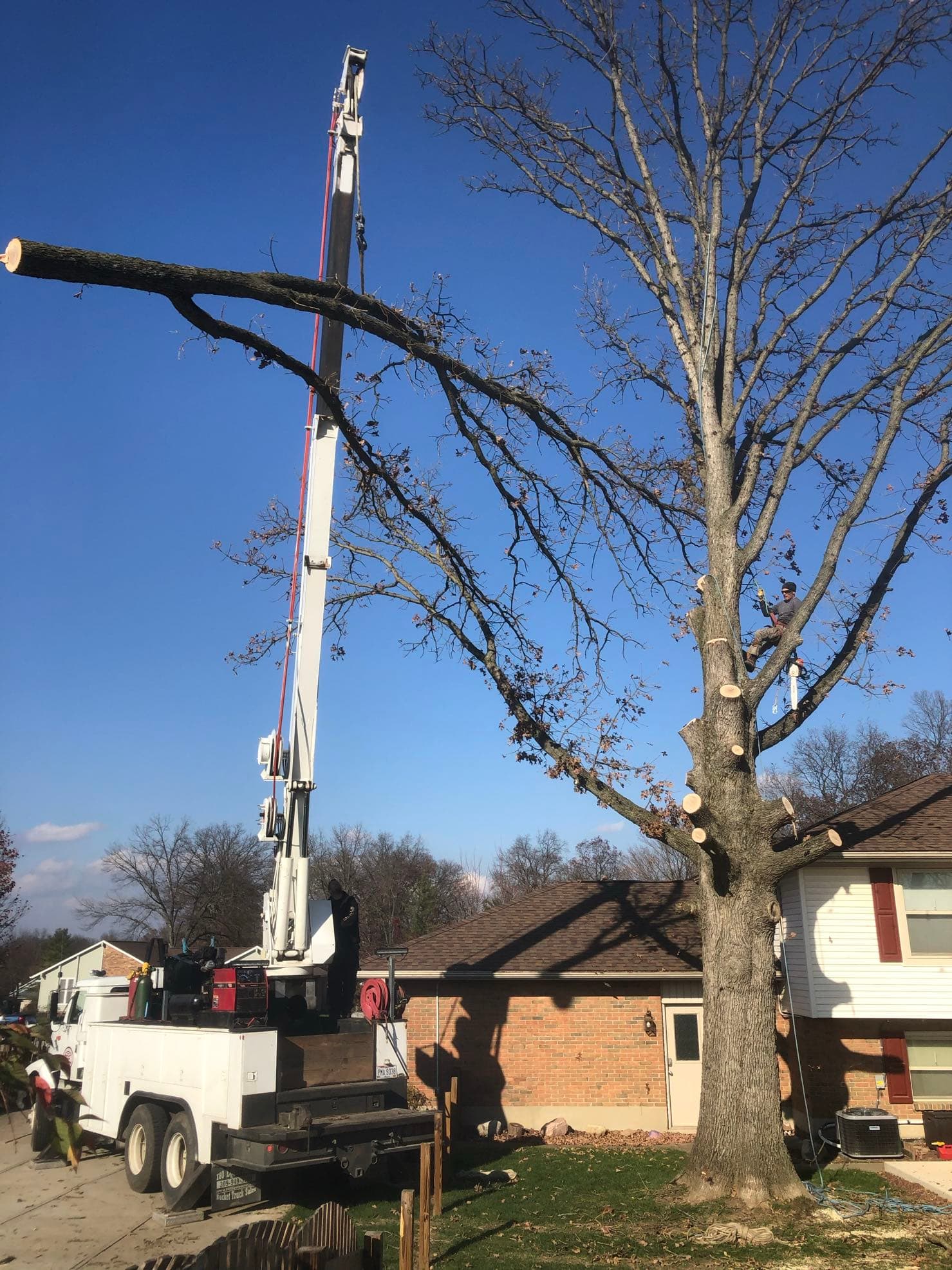 Family Tree Service crane-assisted removal of a large oak beside a home in the Fairborn Ohio area