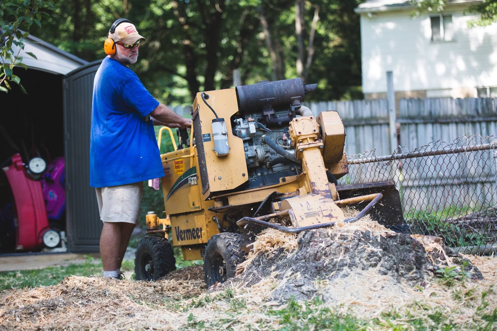 Family Tree Service professional stump grinding with a Vermeer stump grinder